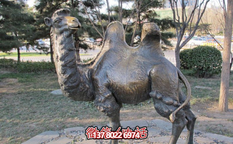 創意大型玻璃鋼駱駝雕塑，在草地上擺放，一眼回頭